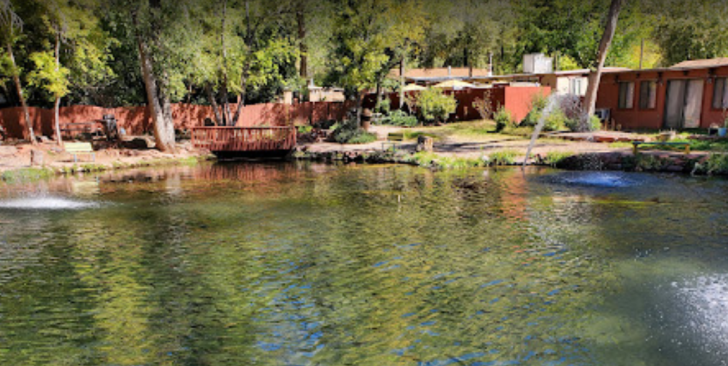 Rainbow Trout Farm