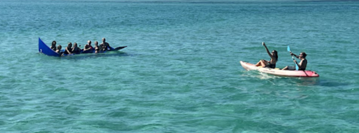 Key West Dolphin Watch and Snorkel Cruise