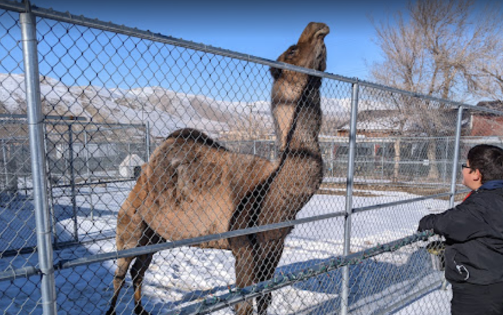 Sierra Safari Zoo