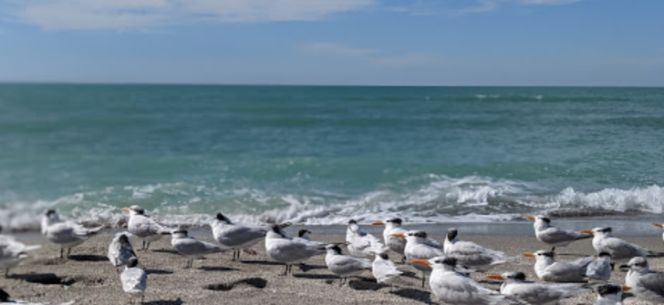 Venice Beach