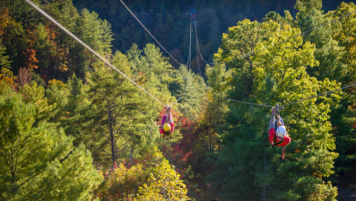 Red River Gorge and Red River Gorge Zip Line