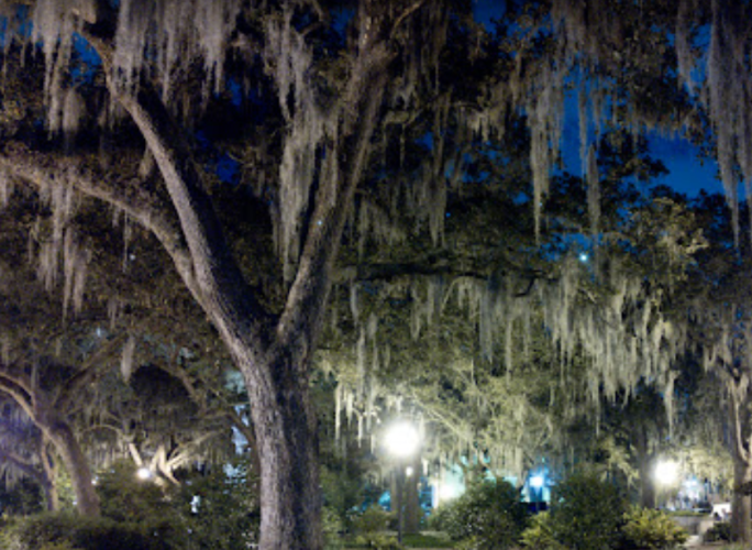 Candlelight Walking Ghost Tour