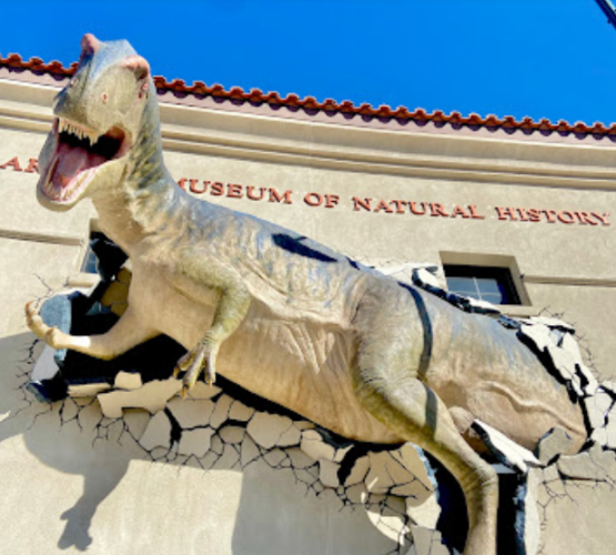 Arizona Museum of Natural History