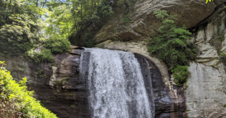 Pisgah National Forest