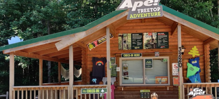 Go Ape Treetop Adventure