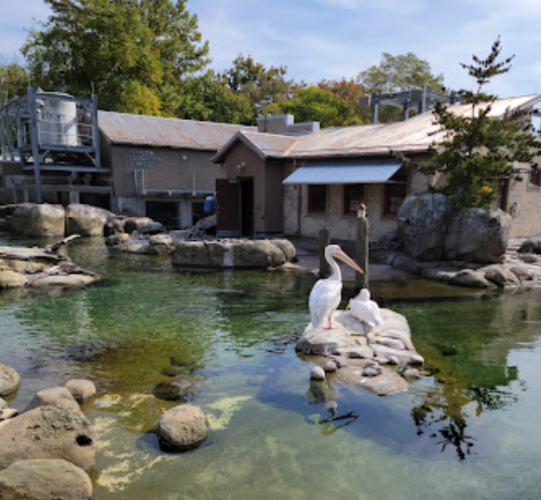 The Maryland Zoo