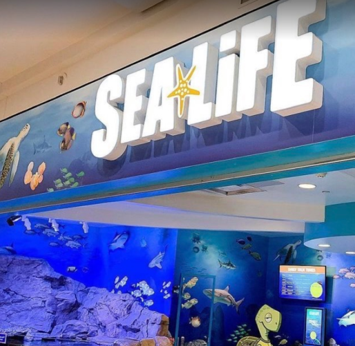 SEA LIFE at Mall of America