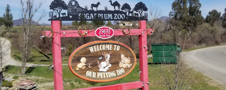 Sugarplum Zoo and Chocolates