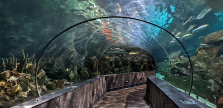 Ripley's Aquarium of the Smokies