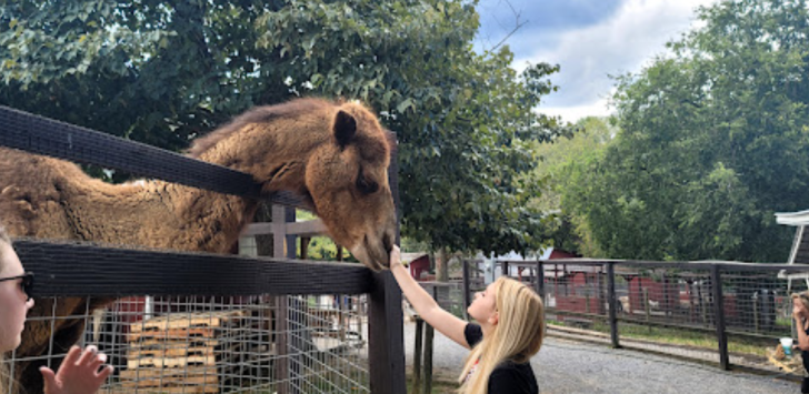 Smokey Mountain Deer Farm