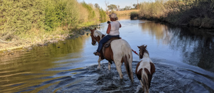 Owen Ranch