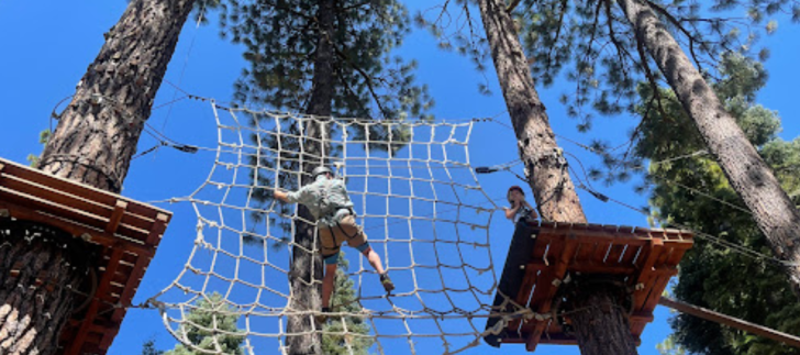 Treetop Adventure Parks