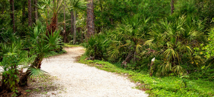 Calusa Nature Center and Planetarium 