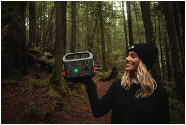 Bird watching device