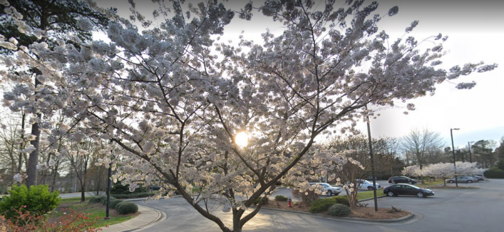 Cary, North Carolina