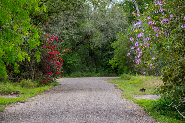 Weslaco, United States