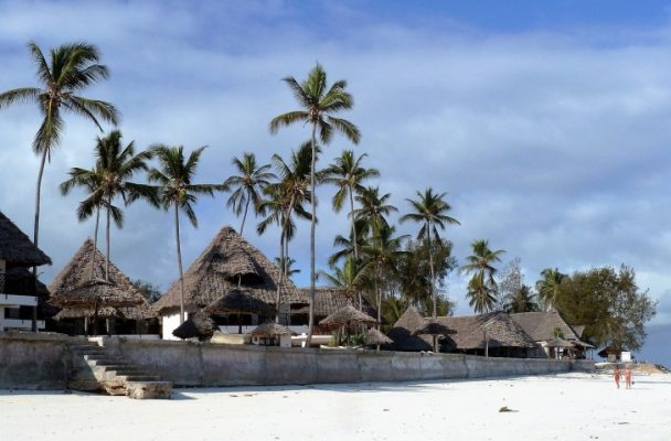 Palms and houses by the beach