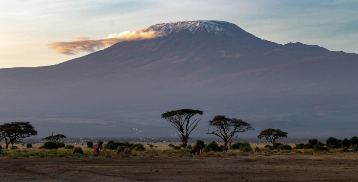 View to Kilimanjaro