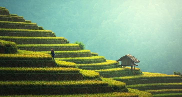 Agriculture in Cambodia