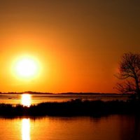 Sunset ove the Amazon River