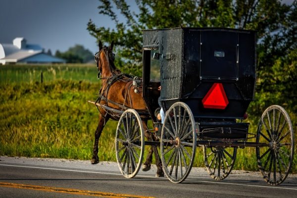 A horse and a carriage