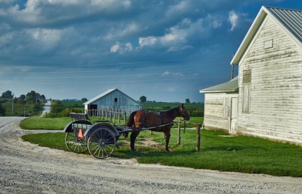 A horse in front of a house