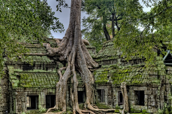 The ruins of Angkor