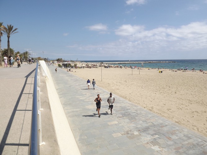 People doing sports and activities by the beach