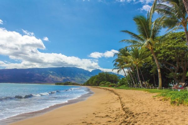 Empty beach