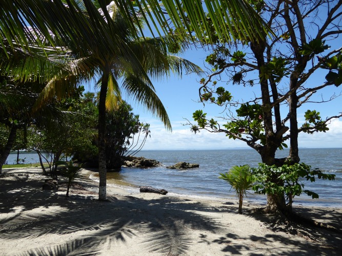 Beach on the Caribbean coast