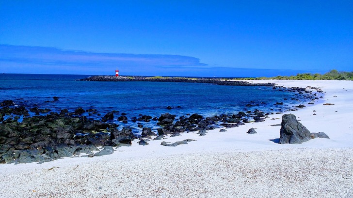 Galapagos Islands