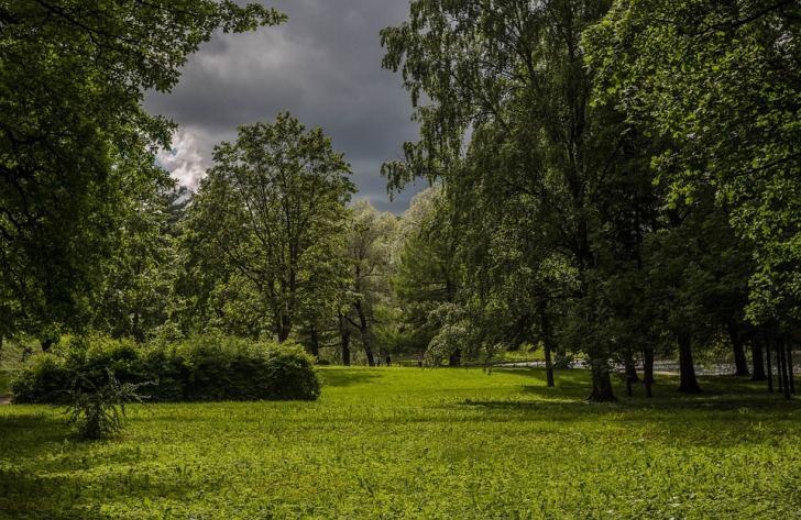 City park before rain