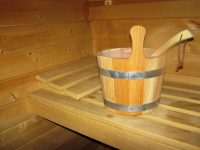 Top 6 Naked Saunas in the World (2026 Updated)