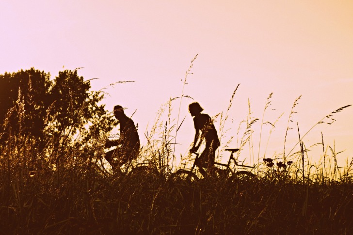 Bikers in a meadow