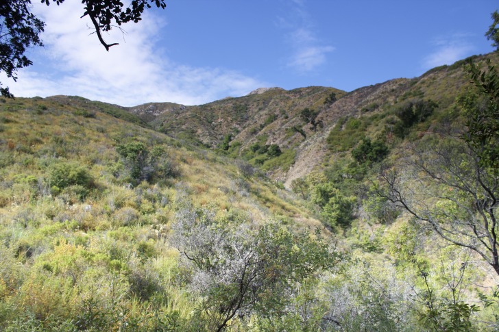 Green mountains