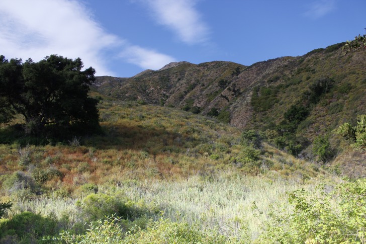 Big Sur mountains