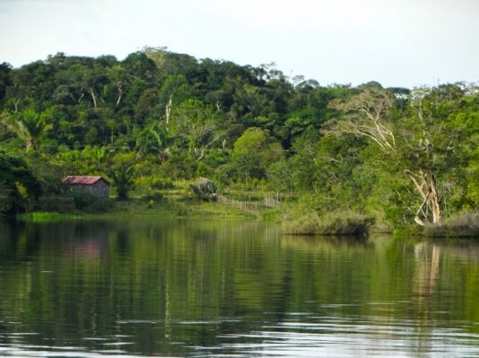 Green landscape