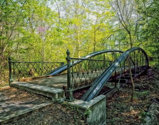 Bridge in the forest