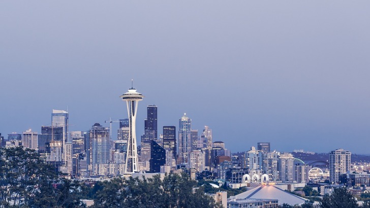 Seattle Skyline View