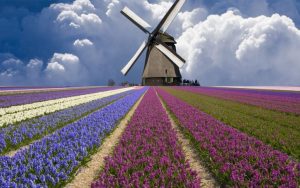 Netherlands