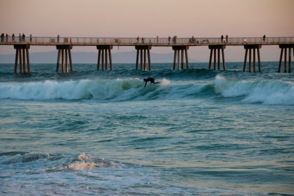 Surfer