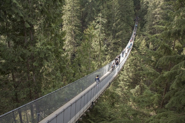 Gorge swinging bridge