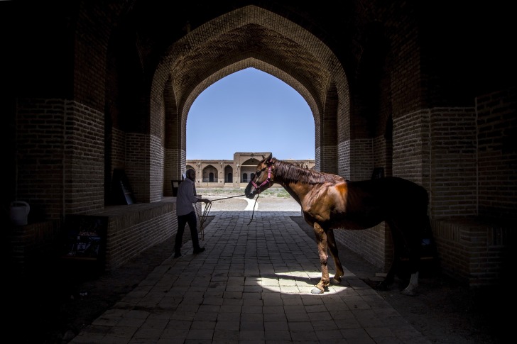 A man and a horse