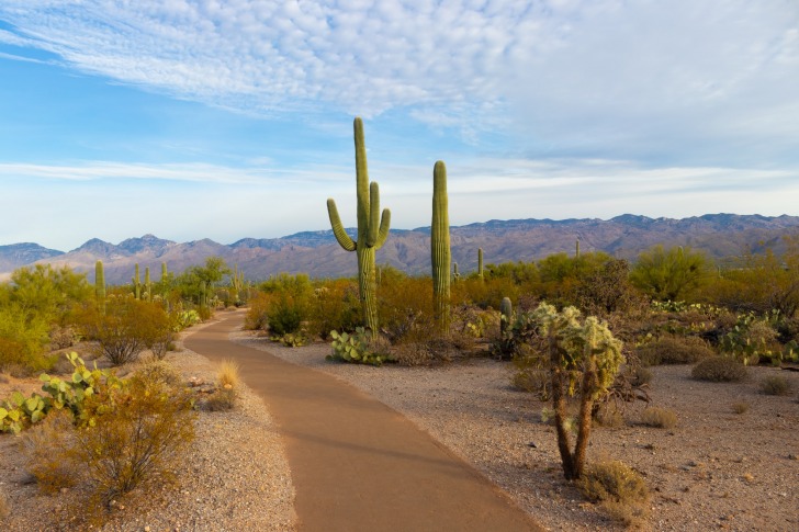 Casa Grande, Estados Unidos