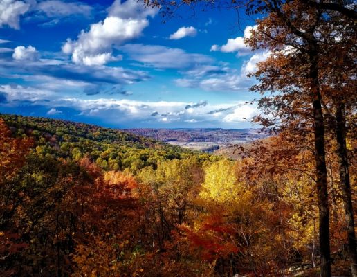 Autumn beauty