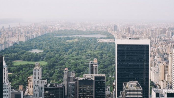 Central Park covered by fog