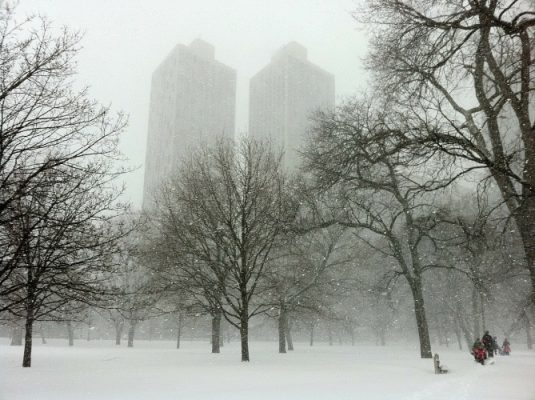 Park in winter