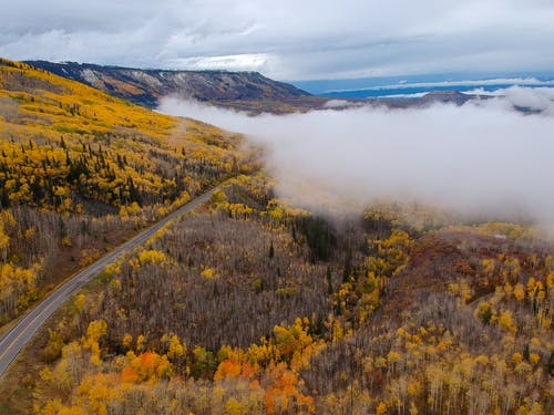 View from a Grand Canyon trail