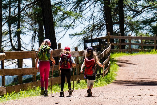 Friendly hiking in the forest