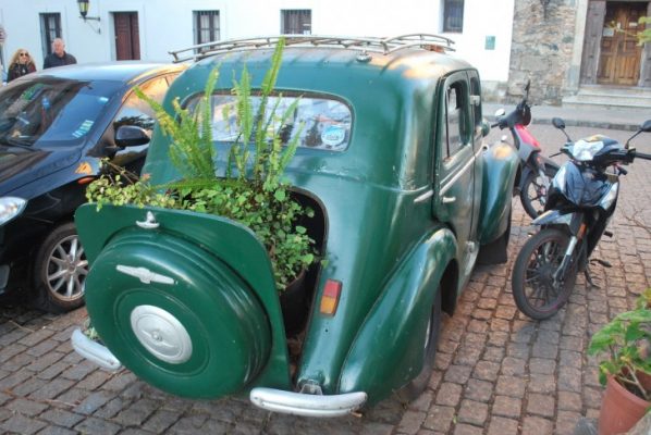Old car with a plant